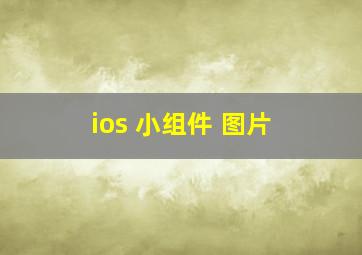 ios 小组件 图片